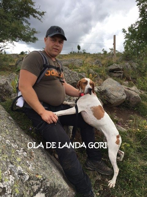 de landa gori - OLA DE LANDA GORI ..!SUD EST !