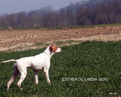 de landa gori - ESTHER DE LANDA GORI training printemps