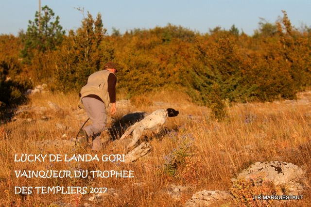 de landa gori - LUCKY DE LANDA GORI VAINQUEUR DU TROPHEE DES TEMPLIERS 2017