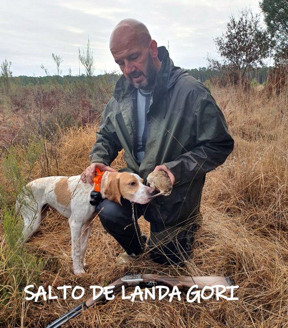 de landa gori - SALTO DE LANDA GORI :Chasse BECASSE !