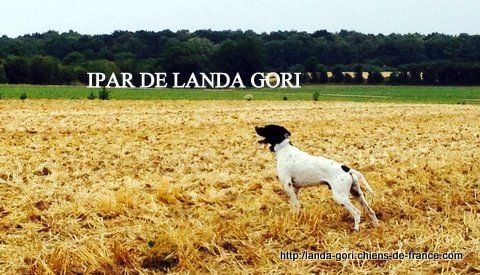 de landa gori - IPAR DE LANDA GORI..Training GRANDE QUÊTE D'HIVER !