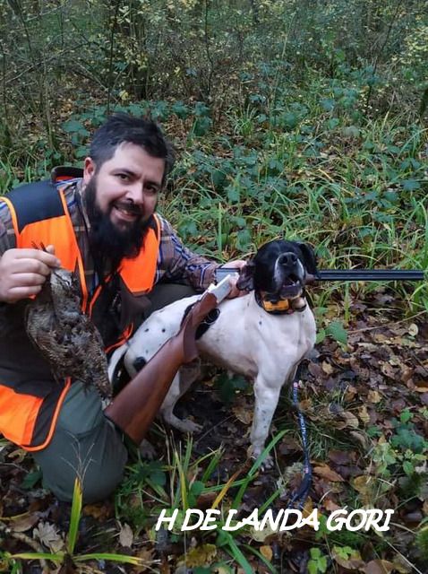 de landa gori - H DE LANDA GORI ;Chasse bécasses NORD !!