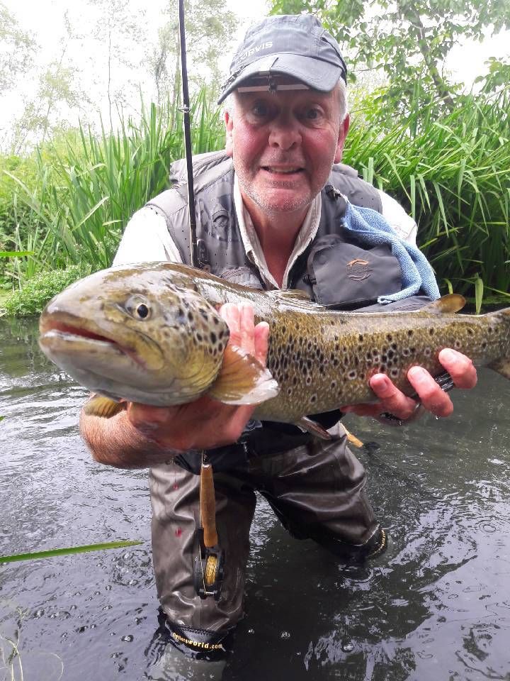 de landa gori - Chasse à la bécasse ....Suite ! ..Une MAGNIFIQUE TRUITE !!