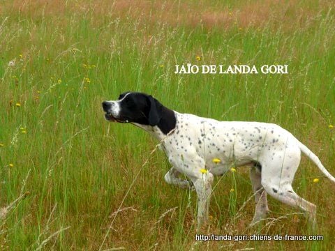 de landa gori - JAÏO DE LANDA GORI ..