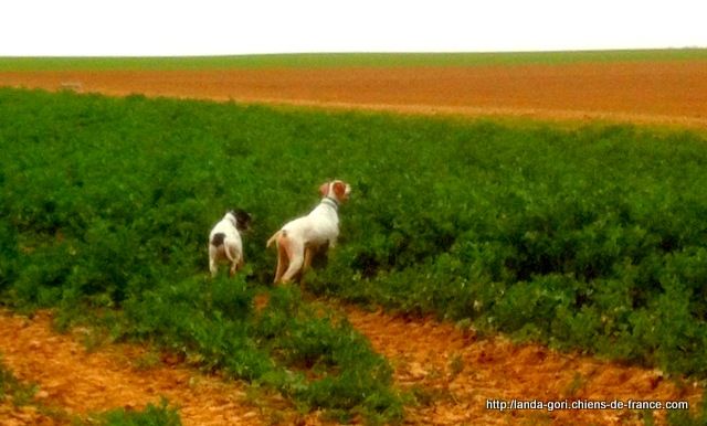 de landa gori - H et ESTHER DE LANDA GORI ....Training printemps !!