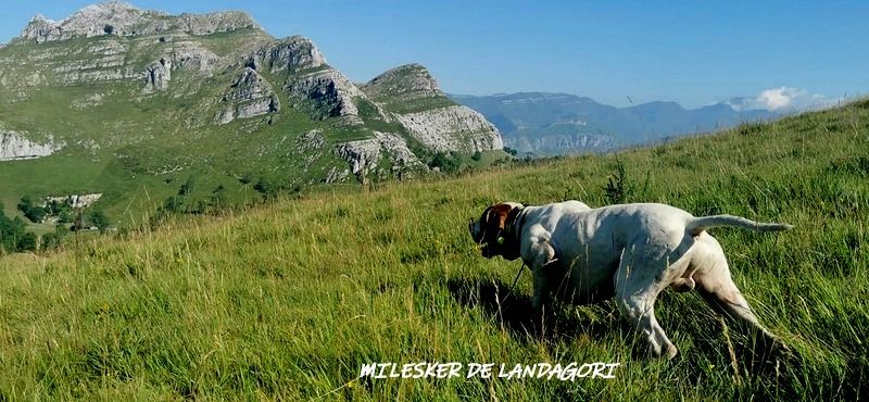 de landa gori - MILESKER DE LANDA GORI ;Entraînement montagne !