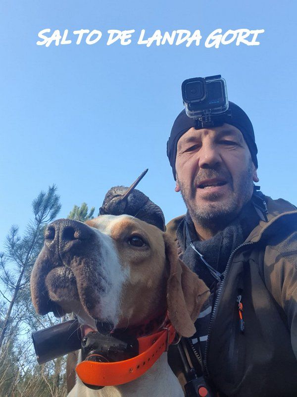 de landa gori - SALTO DE LANDA GORI ;Chasse la bécasse HAUTES LANDES !