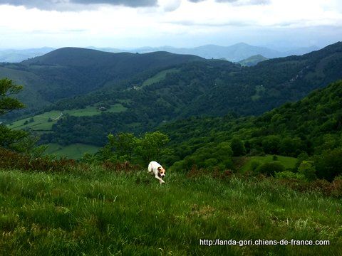 de landa gori - JURGI DE LANDA GORI...Montagne !!!