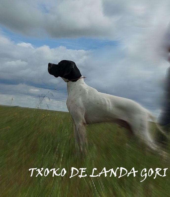 de landa gori - TXOKO DE LANDA GORI/Entraînement ESPAGNE !