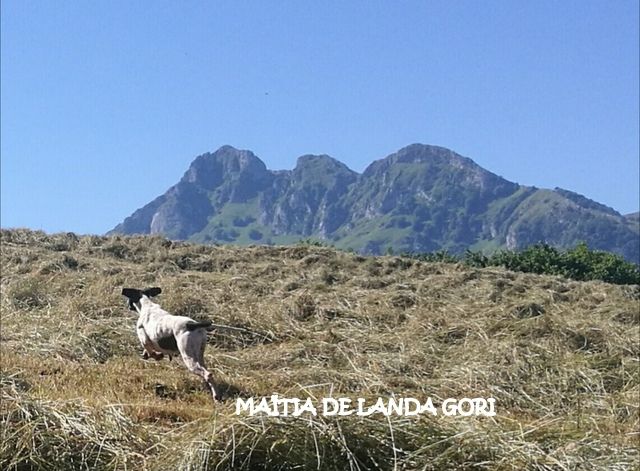 de landa gori - MAÏTIA DE LANDA GORI :Entraînement Montagne !