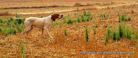 de landa gori - JOY DE LANDA GORI..Training au MAROC !!