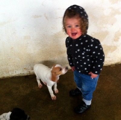 de landa gori - EVEIL !! LOLA et les petits chiots !!