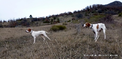 de landa gori - HEGI DE LANDA GORI   training !