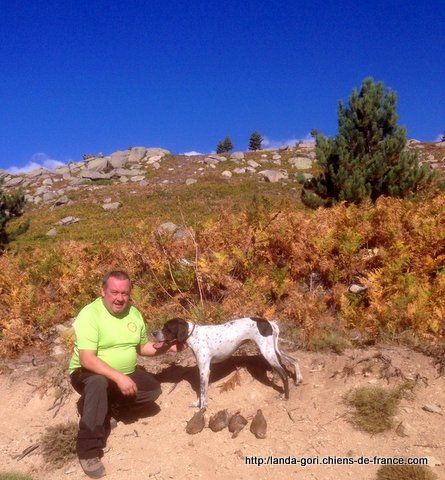 de landa gori - ESKUAL DE LANDA GORI..Ouverture perdrix de montagne !!