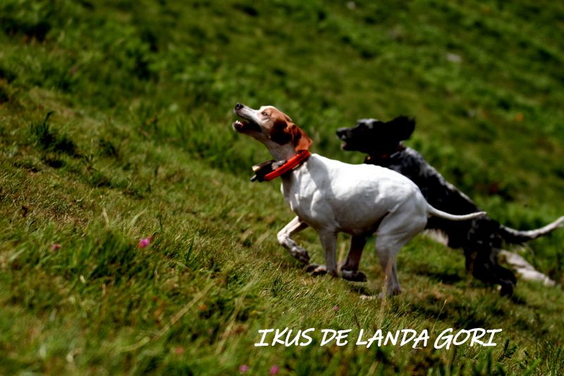 de landa gori - IKUS DE LANDA GORI : Entraînement montagne Cantabrie !