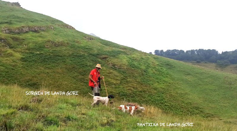 de landa gori - SORGIN et PANTXIKA DE LANDA GORI :entraînement montagnes Cantabria !