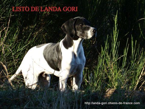 de landa gori - LISTO DE LANDA GORI....!!!