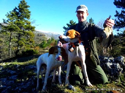 de landa gori - HAÏTZ DE LANDA GORI...Chasse bécasses montagnes