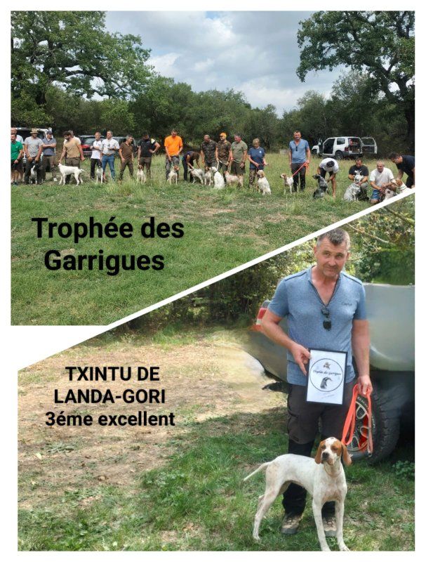 de landa gori - TXINTU DE LANDA GORI/Trophee des GARRIGUE/3em EXCELLENT