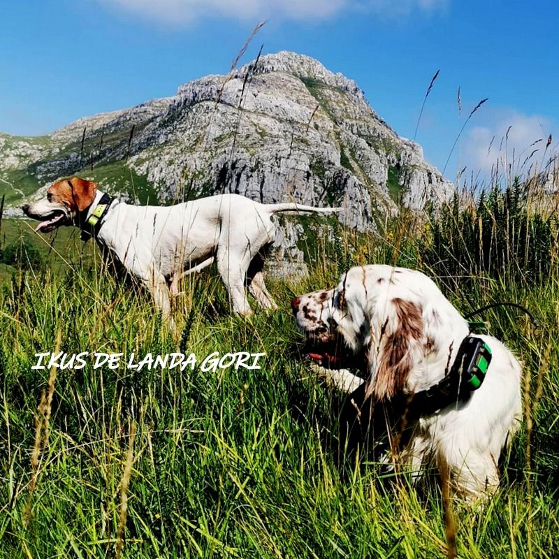 de landa gori - IKUS DE LANDA GORI :Entraînement montagne !