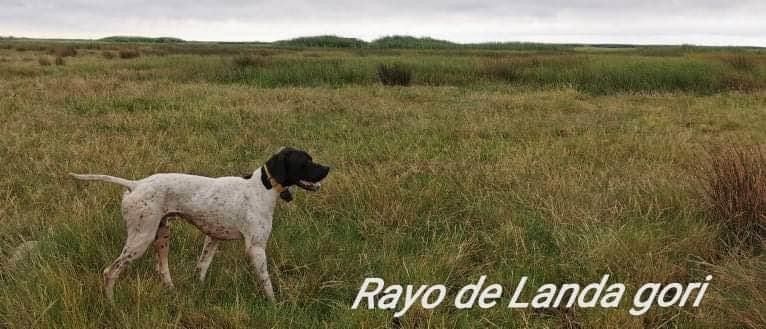 de landa gori - Les débuts ...De RAYO DE LANDA GORI !