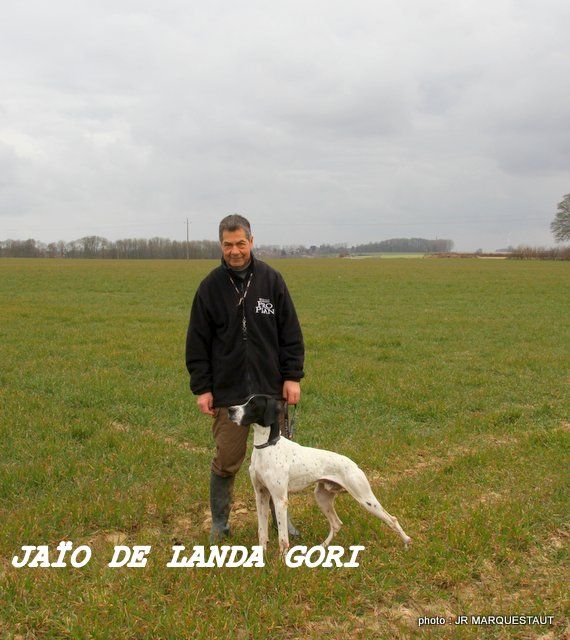 de landa gori - JAÏO DE LANDA GORI . 4eme EXCELLENT CH France Expo !!