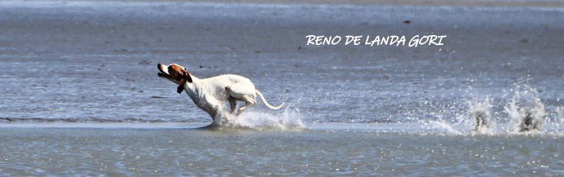 de landa gori - RENO DE LANDA GORI : Entraînement bord de mer !