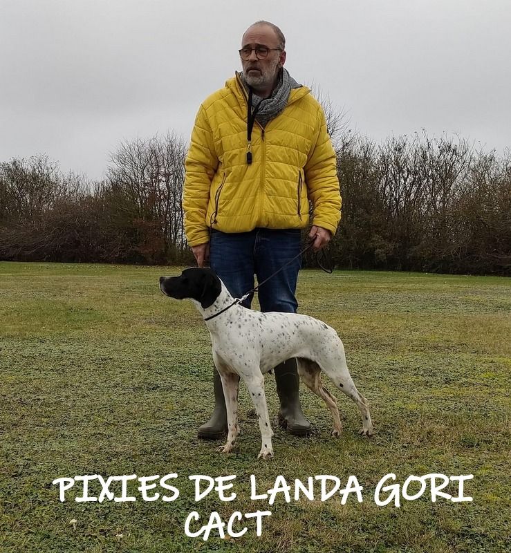 de landa gori - PIXIES DE LANDA GORI ;Gibier naturel 1er EXC CACT 