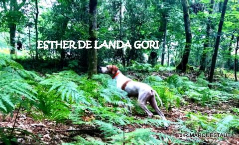 de landa gori - ESTHER DE LANDA GORI ...Entraînement !!!