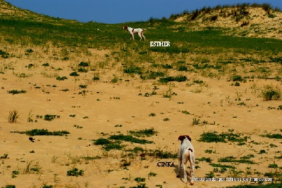 de landa gori - ESTHER et CINKA Entraînement ! "le patron"