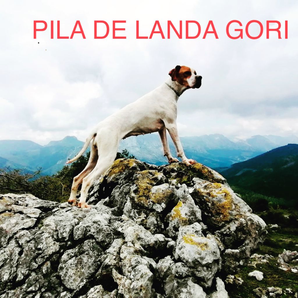 de landa gori - PILA DE LANDA GORI : MONTAGNES BASQUES !