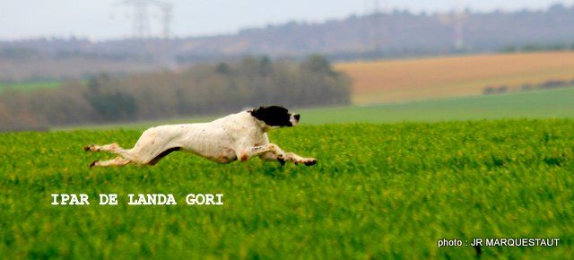 de landa gori - IPAR DE LANDA GORI :Poix de Picardie GRANDE QUÊTE !