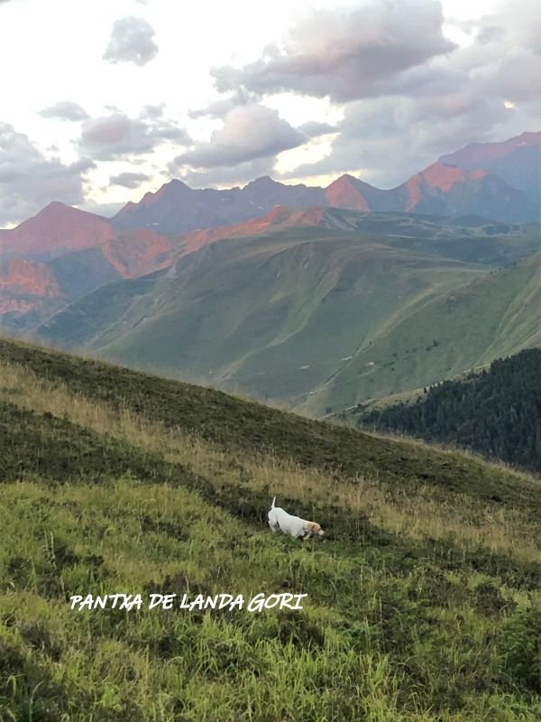 de landa gori - PANTXA DE LANDA GORI :Entraînement Montagne PYRENEES 