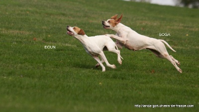 de landa gori - Training on the green pour EGUN et BOGA