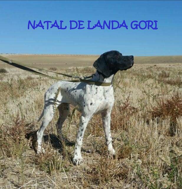 de landa gori - NATAL DE LANDA GORI ...6mois