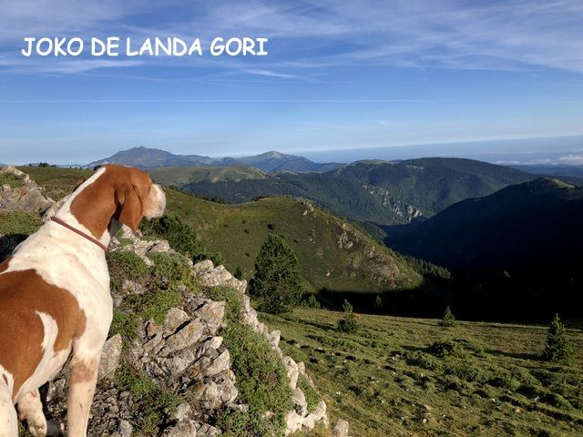 de landa gori - JOKO DE LANDA GORI VAINQUEUR CHALLENGE MONTAGNE JP SABIANI 