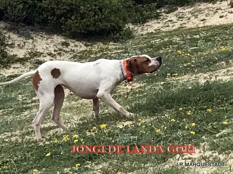 de landa gori - JONGI DE LANDA GORI ..Entraînement !!!