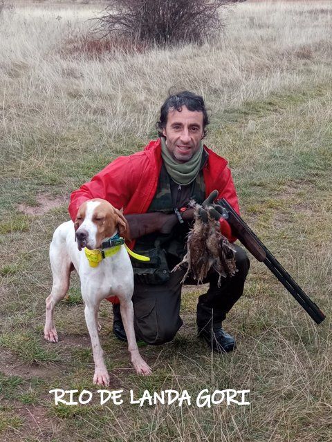 de landa gori - RIO DE LANDA GORI ;Chasse bécasses RIOJA Espagne !