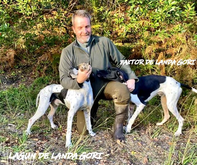 de landa gori - LAGUN et PAXTOR DE LANDA GORI :Chasse la bécasse LANDES !