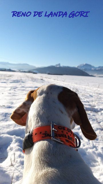 de landa gori - RENO DE LANDA GORI ..Dans les ALPES !