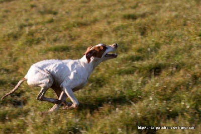 de landa gori - ESTHER DE LANDA GORI ...Training !!!