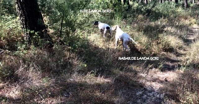 de landa gori - H et NABAR DE LANDA GORI :Entraînement