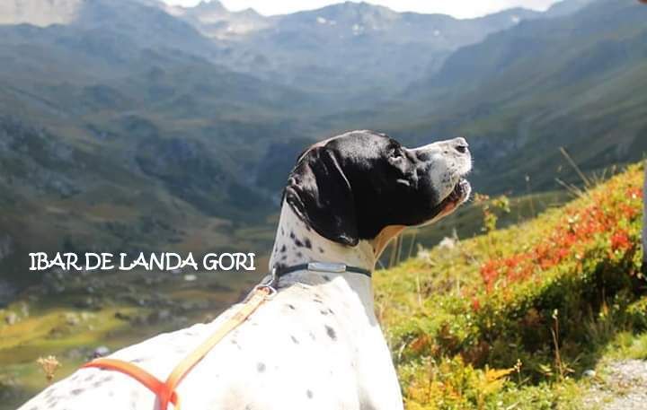 de landa gori - IBAR DE LANDA GORI ;1er EXC LA FAJOLLE 