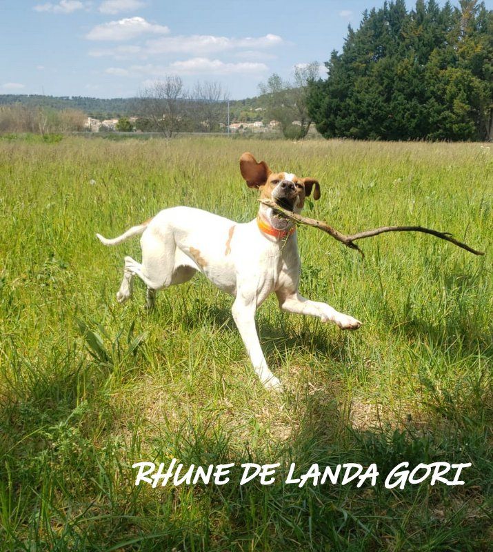 de landa gori - RHUNE DE LANDA GORI