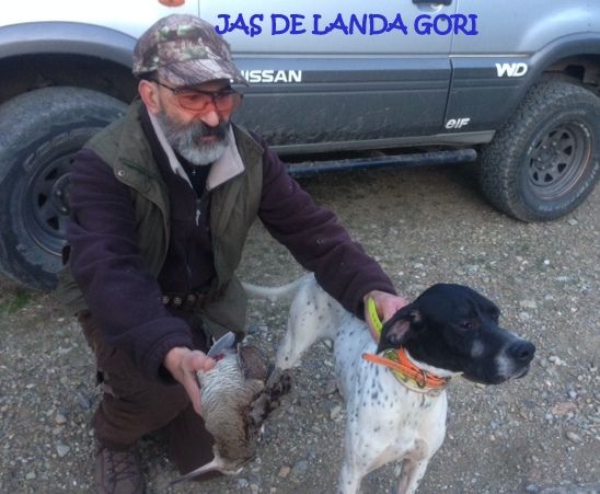 de landa gori - JAS DE LANDA GORI , Chasse à la bécasse ..!