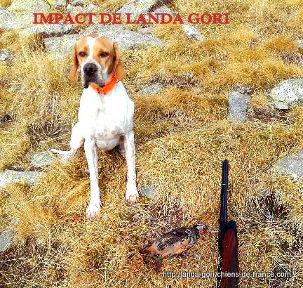 de landa gori - IMPACT DE LANDA GORI..Chasse bartavelles dans les Alpes !!