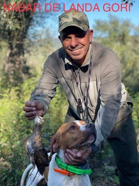 de landa gori - NABAR DE LANDA GORI .Chasse la bécasse MAROC