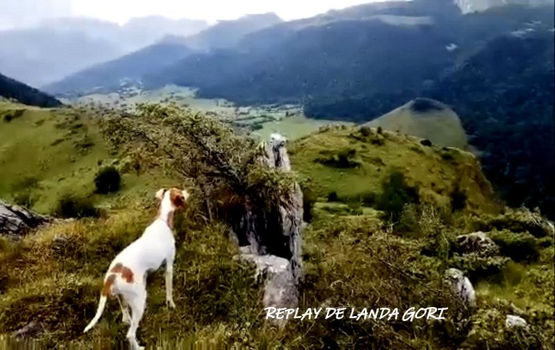 de landa gori - REPLAY DE LANDA GORI ;Entraînement montagnes Pyrénées !