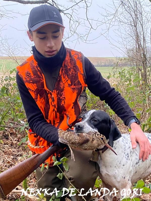 de landa gori - NEXKA DE LANDA GORI/Chasse la bécasse AISNE !