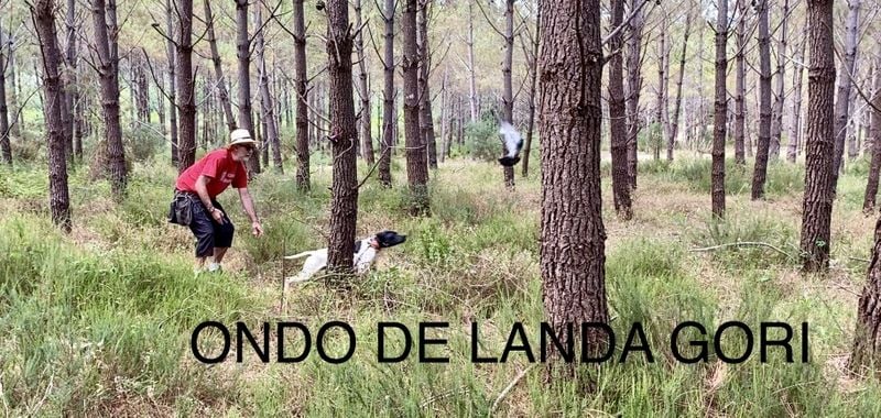 de landa gori - ONDO DE LANDA GORI : Entraînement !